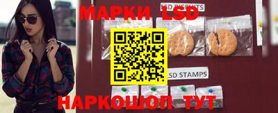амф Гусев