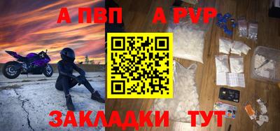 амф Гусев