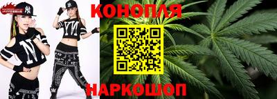 амф Гусев