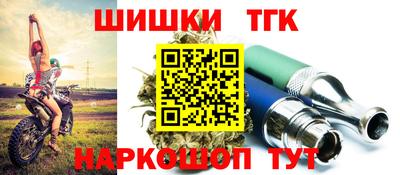 амф Гусев