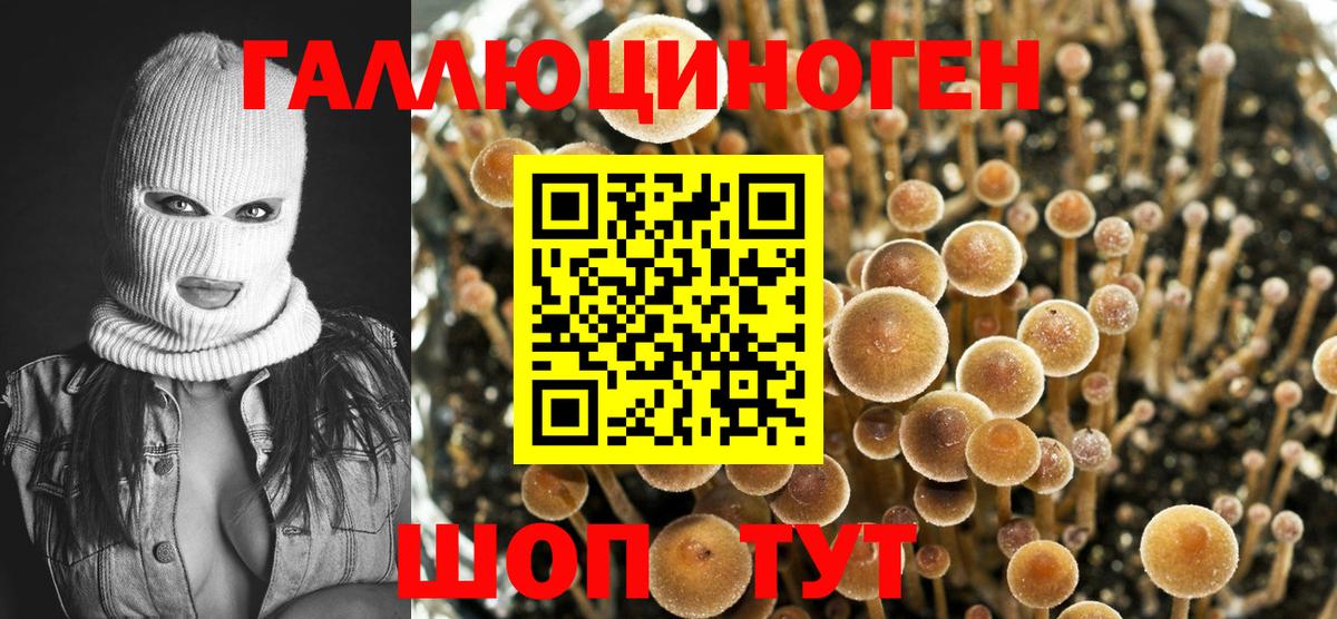 Галлюциногенные грибы Psilocybine cubensis Набережные Челны